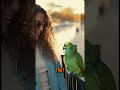 Parrot Asks Girl to Marry Him for a Green Card 😂    #funny #talkingparot #comedy