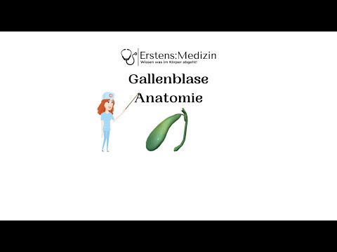 Gallenblase Anatomie