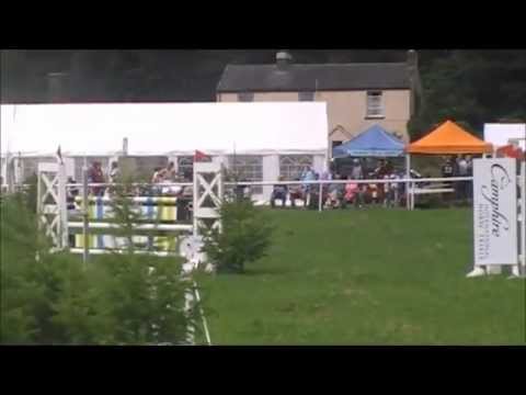 BLM Diamond Delux showjumping (Stellor Sport Horses)