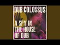A Spy In the House of Dub
