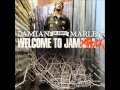 Damian Marley-Mi blenda 