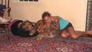 Happy 14th Birthday Livy!