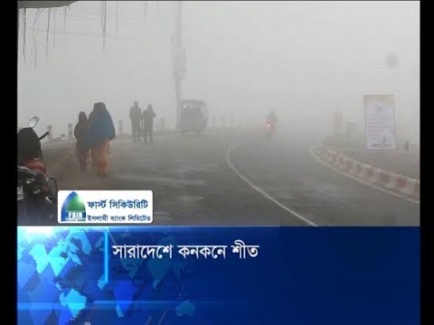 ঘন কুয়াশা আর হিমেল হাওয়ায় বির্পযস্ত ছিন্নমূল, শ্রমজীবীদের জীবন | ETV News