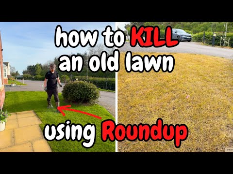 How to kill your old lawn using Roundup - Lawn Renovation