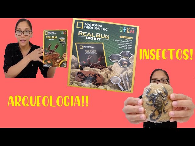 Vídeo relacionado con Funsland Kit Explorador Niños, 5 Piezas Juego de Caza de Insectos, Lupa, con 12 Insectos Falsos, Aire Libre Aventura Juguetes, Juguetes Educativos Navideños Regalos para Niños y Niñas 3 4 5 6 Años
