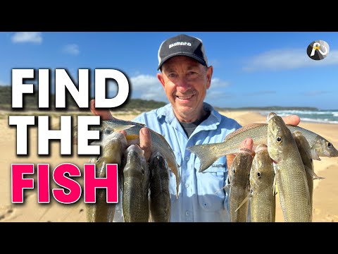 VALUABLE Beach Fishing INSIGHTS to find the Fish!