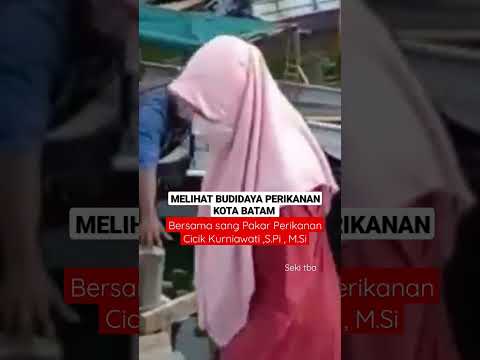 MELIHAT BUDIDAYA PERIKANAN KOTA BATAM BERSAMA DINAS PERIKANAN PEMKO BATAM #shorts / Ojo dibandingke