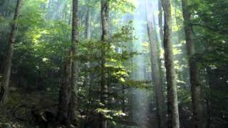 оде то сарајево (Elegy for Sarajevo) - Daniel Fitzgerald 1996