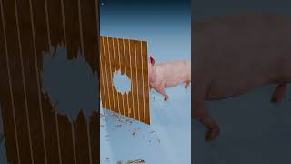 Download lagu Cockroach Scream vs Godzilla Scream mp3