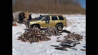 Уникальные случаи на рыбалке