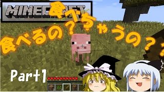 【Minecraft】ワイワイ遊ぶマインクラフト　Part1【ゆっくり実況】