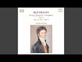 String Quartet No. 2 in G Major, Op. 18: III. Scherzo: Allegro