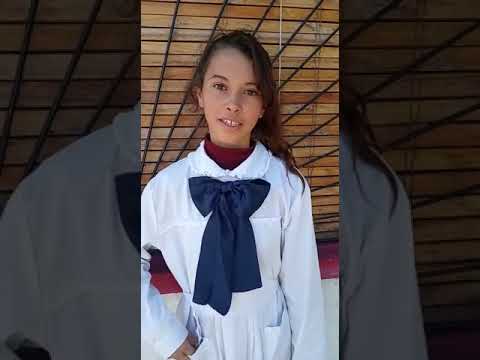 Escuela 110. Gallinal