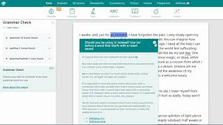 Videos zu ProWritingAid