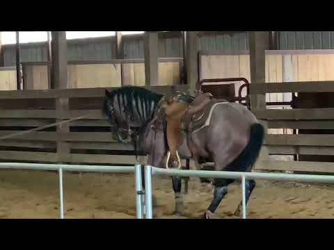 PQH One Time Sannman Roping