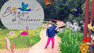 BOSQUE DO SILÊNCIO - Campos do Jordão - O Que Fazer em Campos do Jordão #Biafankids