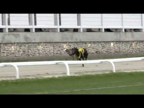 2023.04.22. 09. futam - Szezonnyitó Nagydíj