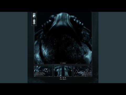 Funky Flux (Original Mix)