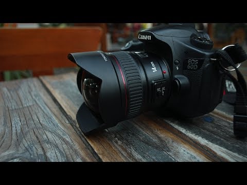 Video thumbnail for Video Review 3