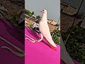 Punjabi Kabutar Kabootar Ki Video Shorts Kabootar