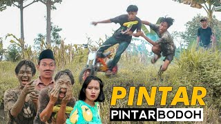 Download lagu SMART - SMART STUPID!! - EXTREME FUNNY BG ADOLL mp3