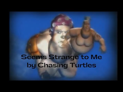 Chasing Turtles - Seems Strange to Me from the album Reptile Dysfunction