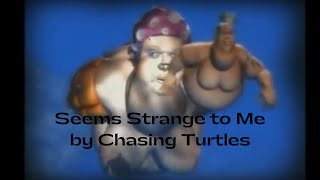 Chasing Turtles - Seems Strange to Me from the album Reptile Dysfunction