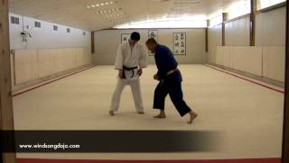 Waki Gatame from the Turtle