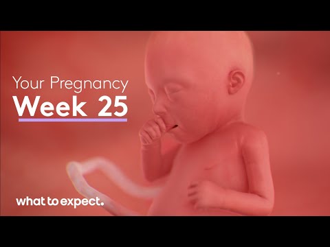 Mother-Baby developments this week (Week 25)