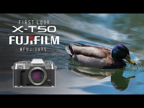 FUJIFILM X-T50 - First Look - Fuji Guys