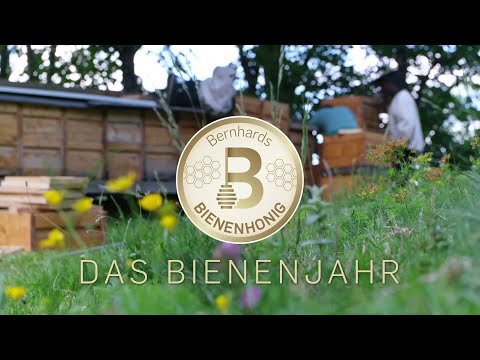Das Bienenjahr - von und mit Bernhard Priebernig