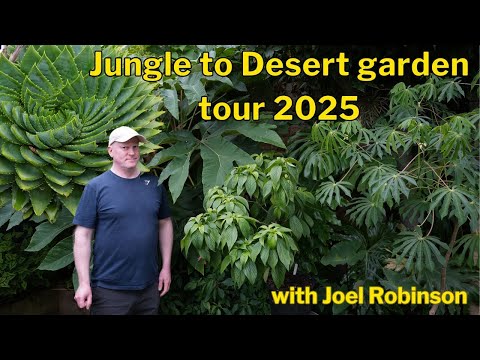 Back to Brighouse Exotic Garden 2025