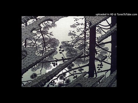 Stgomalaria x Dom95 - SSZ