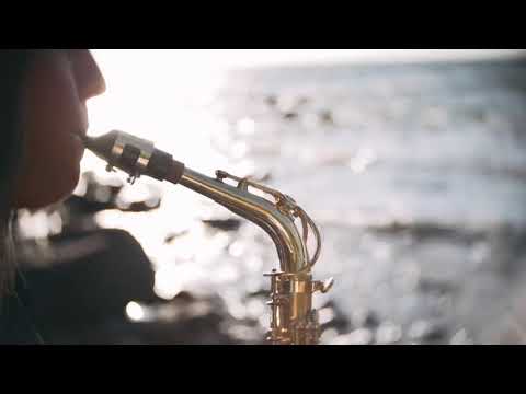 Sting - Shape of my heart sax cover