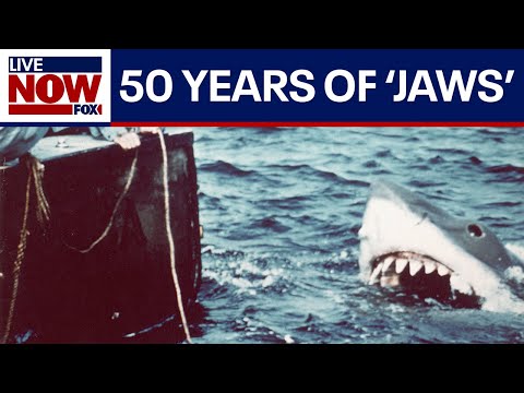 Video | 'Jaws' 50th anniversary: How the iconic Steven Spielberg film has impacted film and culture