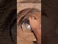 Miracle Of Allah In Palestine Islamicvideo Shorts