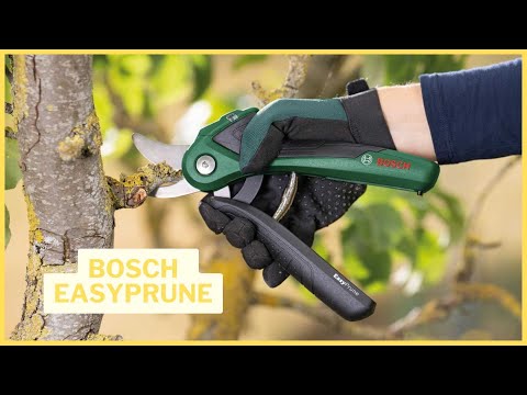 Sécateur électrique Bosch EasyPrune : test et avis complet