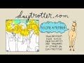 Saturday Looks Good To Me - Sunglasses - Daytrotter Session