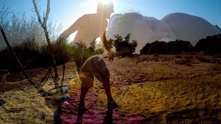 Die Groissis im Nationalpark Donauauen Teil II