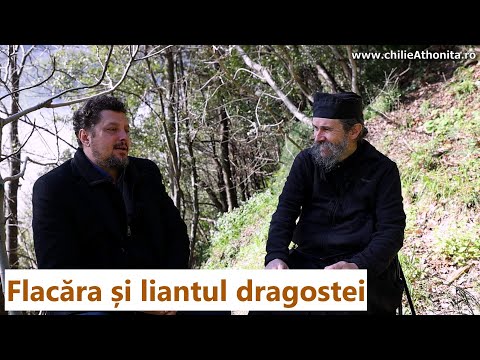 Flacăra și liantul dragostei - Claudiu Târziu, p. Teologos