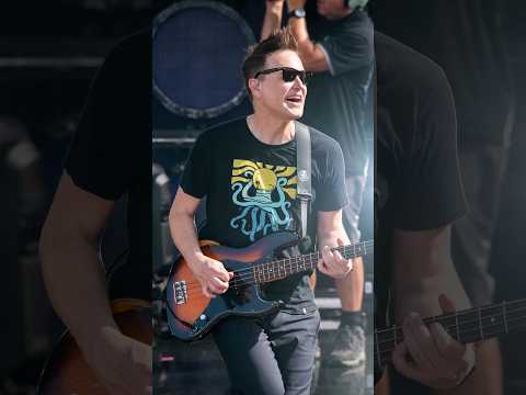 How to get Blink 182's bass tone in 30 seconds! #bass #bassguitar #blink182