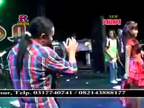 download lagu mp3 Download Mp3 Dangdut Delima dan kasetnya di Toko Terdekat Maupun di iTunes atau Amazon secara legal download lagu mp3 Download Mp3 Dangdut Delima