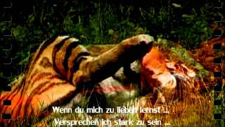 TEACH ME TO LOVE 2011