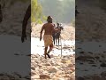 Chiyaan Vikram Thangalaan Mass Whatsapp Status Dreamz Love Thangalaan Chiyaanvikram Dreamzlove
