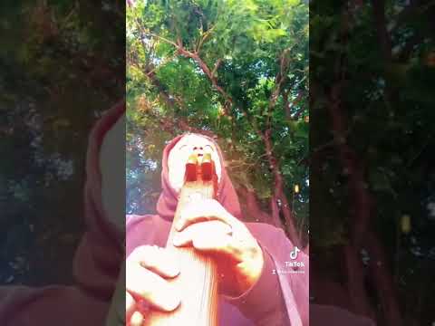 Ancient Mayan drone flute 432hz E minor.