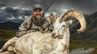 Dall's Sheep Hunt in Alaska