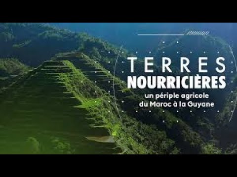 , title : 'Terres nourricières   Techniques agricoles ancestrales'