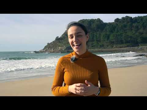 Vídeo: Como se produce o mar de ardora?