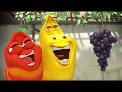 LARVA - THE GRAPE ESCAPE | Cartoon Movie | Cartoons | Comics | Larva Cartoon | LARVA Official