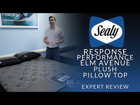 Sealy Response Performance Elm Avenue Plush Euro...